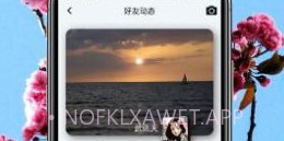平信APPV1.0.7截图