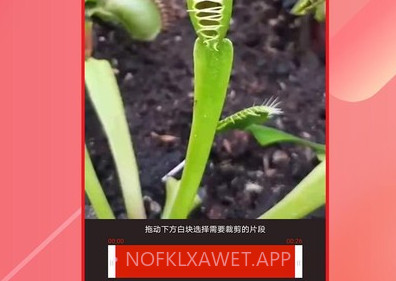视频倒放大师v1.2.6截图