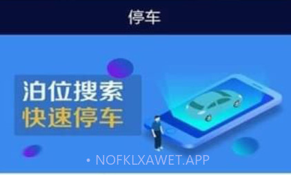 吉首停车APPv1.10截图