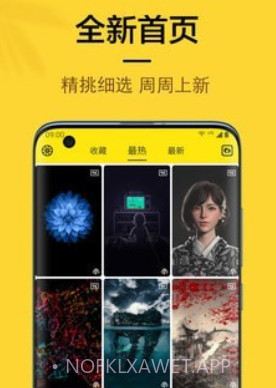 橙子4D动态壁纸v1.0.11截图