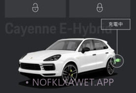 保时捷智联v2.3.8截图