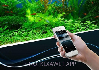 ZETLIGHTv1.0.6截图