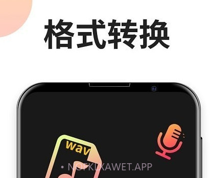 音乐格式工厂v2.1.13截图