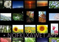 NIKON IMAGE SPACEv4.7.8截图