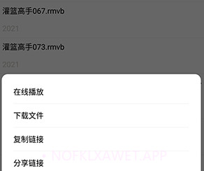 磁力搜索器2023v2.6.8截图