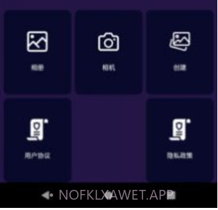 乐言图片编辑器v9.8.1.10截图