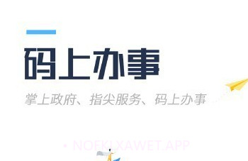 码上办事v2.1.5截图