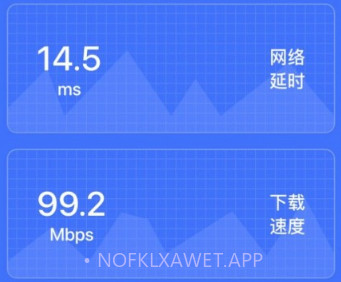 坚果网络专业版v1.0.9截图