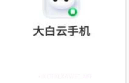 大白云手机v1.0.11截图