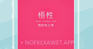 悟性V2.8截图
