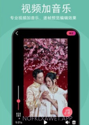音频视频混合器v1.0.9截图