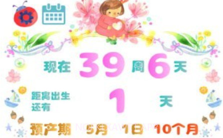 怀孕孕期计算器v6.10截图