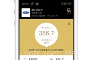 PP车v2.8截图