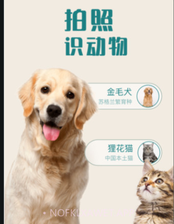 花卉识别v1.0.12截图
