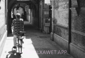 拾月录屏制作v1.8截图