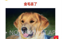 宠物的日记V1.0.6截图
