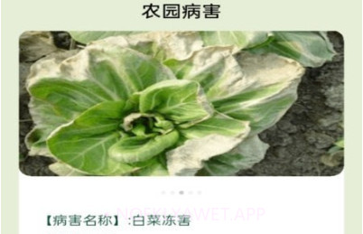 田园手册v1.0.9截图