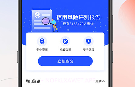 征信查询宝v1.13截图