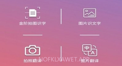 金阶拍图识字v5.4.10截图