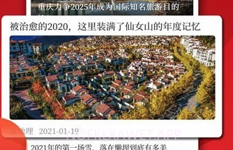 重庆客v1.1.8截图
