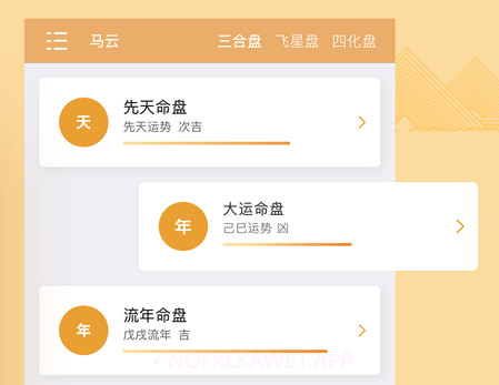 南方八字排盘v1.5截图
