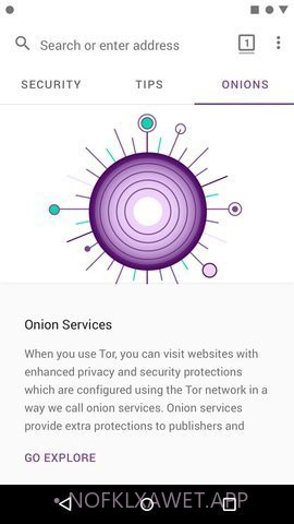 tor免费版（Tor Browser）10.0.16 (88.1.7截图