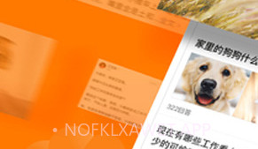 悟空问答APPV1.7截图