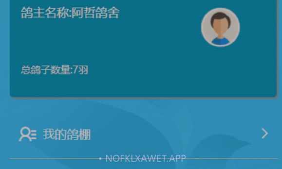 中国信鸽比赛v1.1.14截图