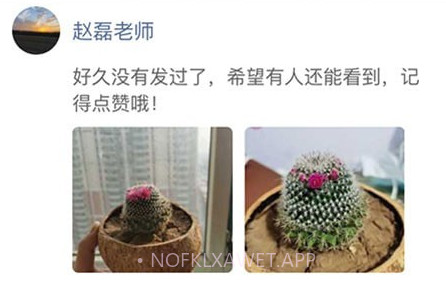 阿波罗智慧家长v1.0.12截图