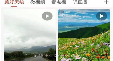 大美天峻v0.1.10截图
