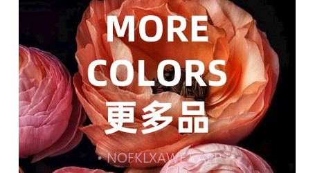 匠人花材客户端v5.0.12截图