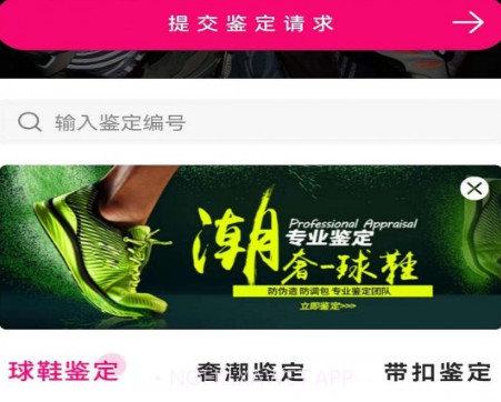 新995鉴定v1.0.10截图
