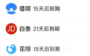叮叮记账本v1.2.11截图