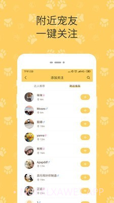 陪彼宠物2.0.200934截图