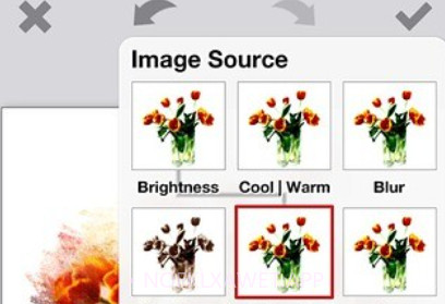 PhotoViva照片编辑v2.4截图