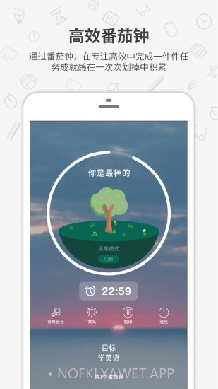 番茄森林v1.0.14截图