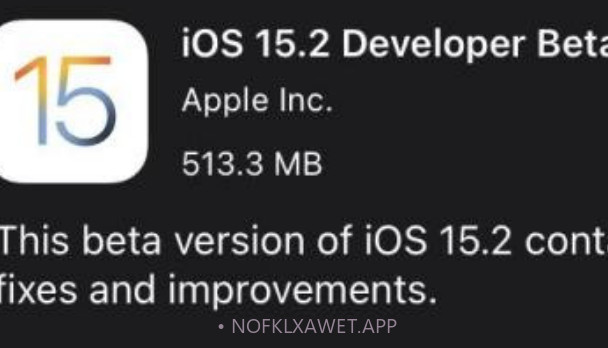 iOS15.2Beta4v1.14截图