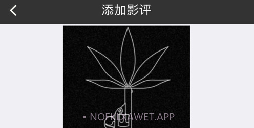 豌豆影评v1.13截图