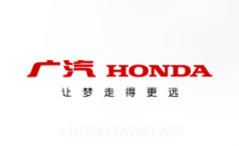 广本售后dmsv1.60.1.8截图