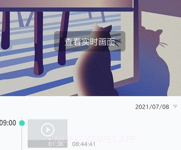 petloov2.3.8截图