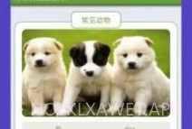 动物园首富v1.9截图