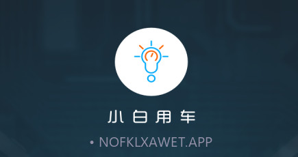 小白用车v3.17.6截图
