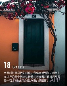 纸塘壁纸v1.4.9截图