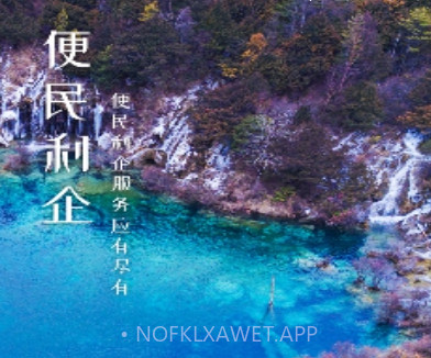 四川政务服务v4.0.13截图