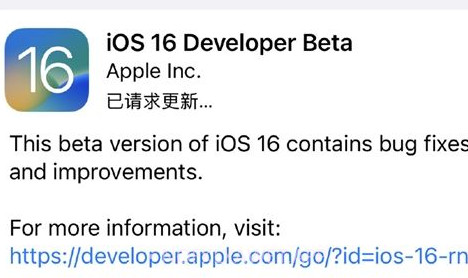 ios16描述文件v1.21截图
