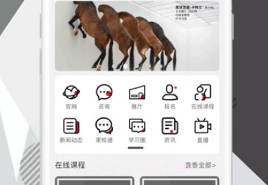 学画君v3.0.11截图