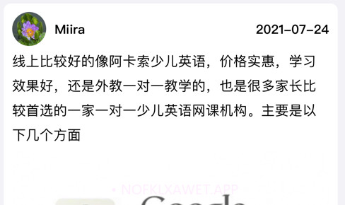 西柚翻译v1.13截图