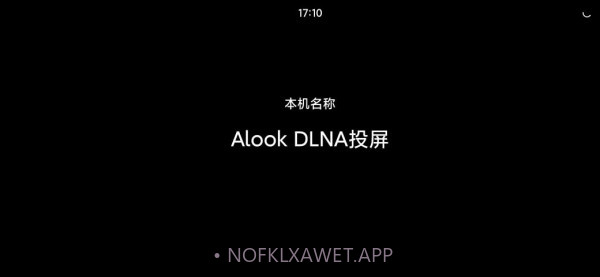 Alook DLNA投屏1.8截图