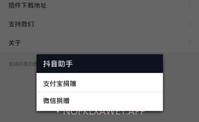 抖音插件APPv1.5截图