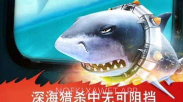 双头鲨v7.8.0.12截图